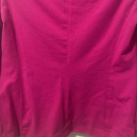 A Pink Blazer by The Limited! - Picture 15 of 16